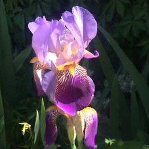 Meet your Posher, Marcie